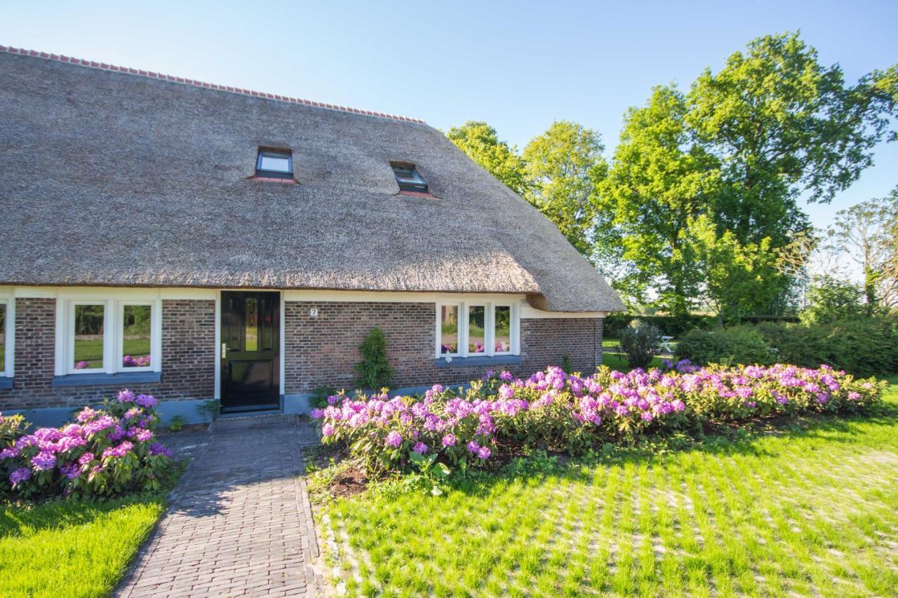Juffertje In Het Groen Zwolle  Luaran gambar
